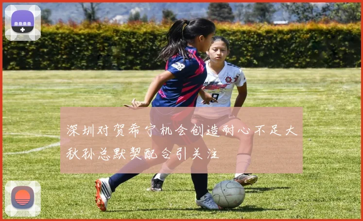 深圳对贺希宁机会创造耐心不足大秋孙总默契配合引关注